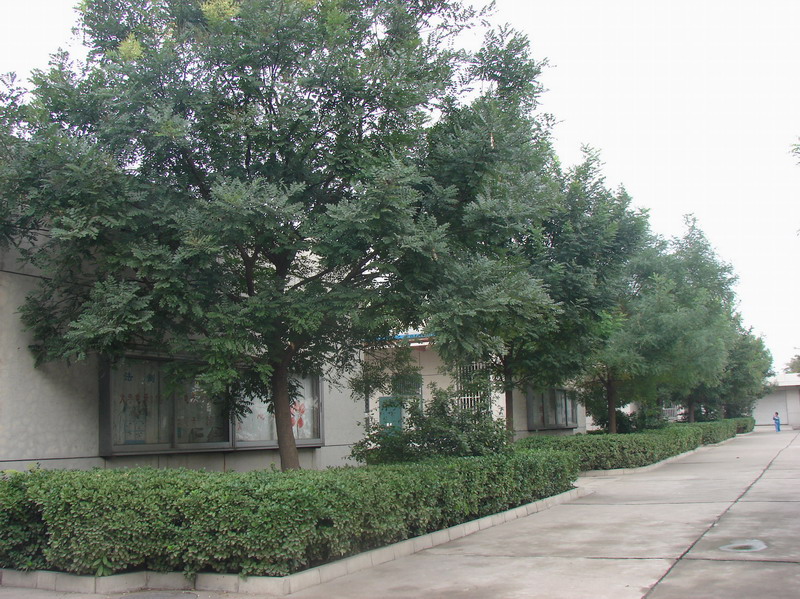 北京市石景山区向阳小学