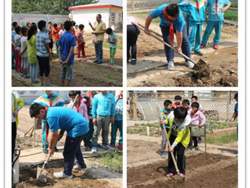 北京市大兴区榆垡镇曹各庄小学