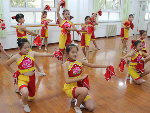 北京市大兴区安定镇中心小学