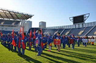 北京市朝阳外国语学校北苑分校小学部