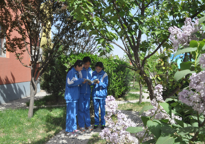  华北电力大学附属中学