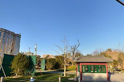 北京医学院附属中学 
